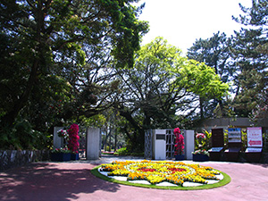 宮崎県立青島亜熱帯植物園